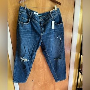 Anthropologie Pilcro High Rise Slim Size 18W Brand New w. Tags